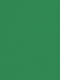 wGer6563 Gerflor Taraflex Sportboden Recreation 45 Menta