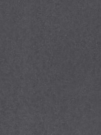 wF3113edl Forbo Eternal de Luxe comfort (ehemals Novilux)...