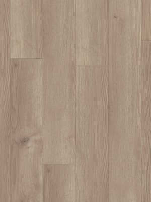 wTiD24524020-30 Tarkett iD Inspiration 30 Classics Vinyl Designbelag zum Kleben Contemporary Oak Grege