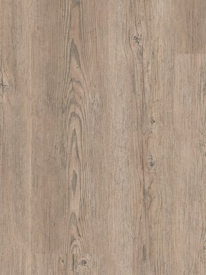 wTiD24646138-40 Tarkett iD Inspiration 40 Classics Vinyl Designbelag zum Kleben Brushed Pine LIGHT BROWN