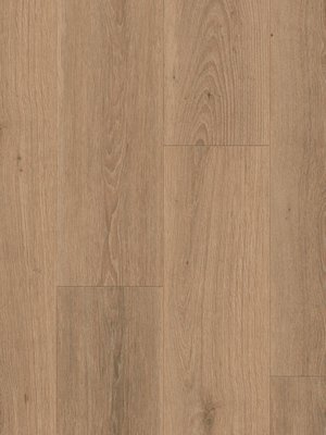 wTiD24513090-55 Tarkett iD Inspiration 55 AUTHENTICS Vinyl Designbelag zum Kleben mit Synchronprgung Rotogravure Highland Oak Noisette