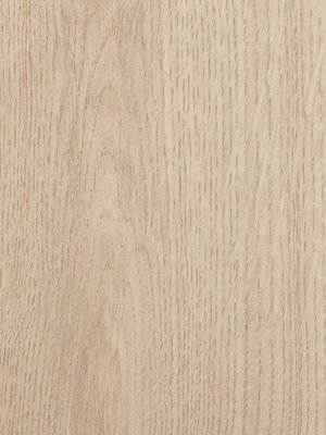 wPro-S1104120057 Profilor Laminat 1 Laminat mit...