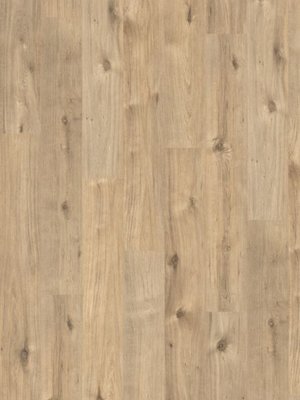 wProMe1101213 Profilor Laminat 2 Laminat mit...
