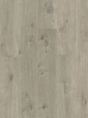 Muster: m-wProMe6730213 Profilor Laminat 3 Laminat mit...