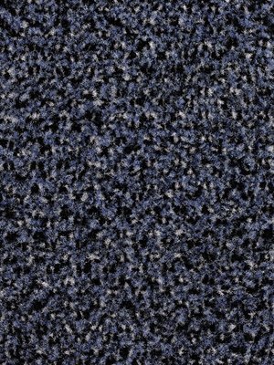 wPro2802-R Profilor Objekt Sauberlauf Start Rollenware Blau