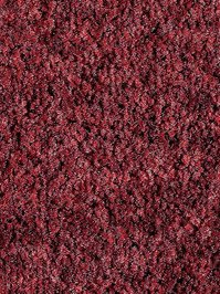 wPro8307-M Profilor Objekt Sauberlauf Maximus Matten Rot