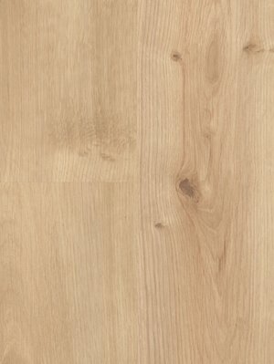 Muster: m-wPLC299R Wineo 1000 Purline zum Klicken wood L...