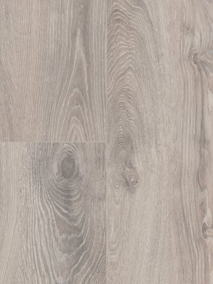 wWLA222XXLV4 Wineo 700 wood XXL V4 Norway Oak Silver hochwertiger Laminatboden, Synchronprägung