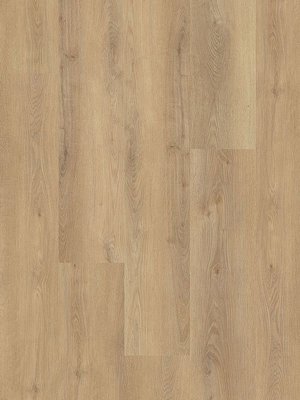 Muster: m-wMLD834WXL-800w Wineo 800 Wood XL Click...