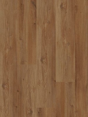 wMLD839WXL-800w Wineo 800 Wood XL Click Multi-Layer...