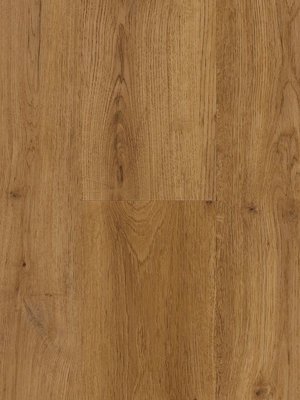 Profilor  Zentrum Rigid Acoustic  Caro Rigid Clic-Belag...