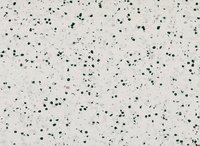 w86630350 Gerflor Mipolam Vinyl homogen EL 5 Rolle...