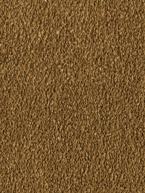wDTW103723A400-F Das Teppichwerk Teppichboden Fascination...