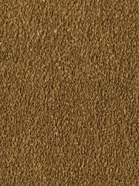 wDTW103723A400-F Das Teppichwerk Teppichboden Fascination...