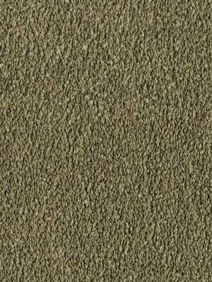 wDTW103724A400-F Das Teppichwerk Teppichboden Fascination...
