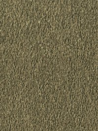 wDTW103724A400-F Das Teppichwerk Teppichboden Fascination...