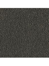 wDTW103725A400-F Das Teppichwerk Teppichboden Fascination...