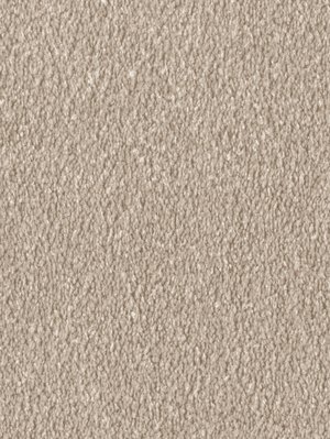 wDTW103728A400-F Das Teppichwerk Teppichboden Fascination...