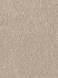 wDTW103728A400-F Das Teppichwerk Teppichboden Fascination...