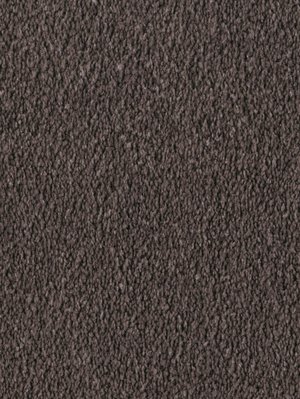 wDTW103730A400-F Das Teppichwerk Teppichboden Fascination...