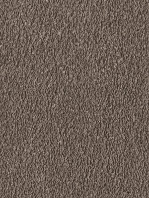 wDTW103731A400-F Das Teppichwerk Teppichboden Fascination...