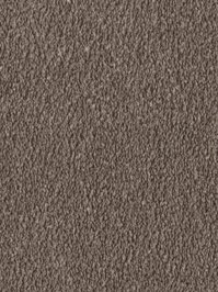 wDTW103731A400-F Das Teppichwerk Teppichboden Fascination...