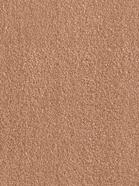 wDTW103753A400-F Das Teppichwerk Teppichboden Fascination...