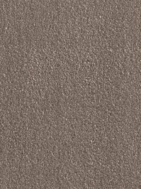 wDTW103760A400-F Das Teppichwerk Teppichboden Fascination...