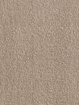 wDTW103779A400-F Das Teppichwerk Teppichboden Fascination...