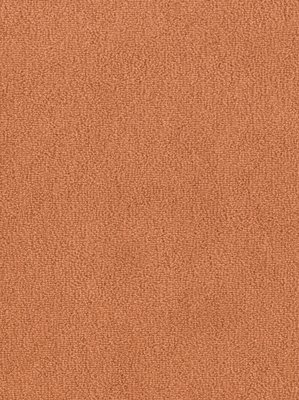 wDTW103638A400-F Das Teppichwerk Teppichboden Fascination...