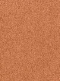 wDTW103638A400-F Das Teppichwerk Teppichboden Fascination...