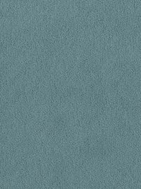 wDTW103630A400-F Das Teppichwerk Teppichboden Fascination...