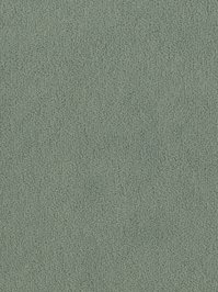 wDTW103632A400-F Das Teppichwerk Teppichboden Fascination...