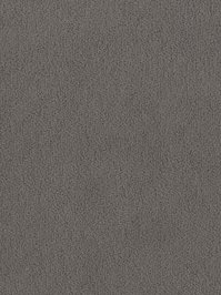 wDTW103631A400-F Das Teppichwerk Teppichboden Fascination...