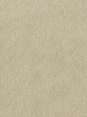 wDTW103633A400-F Das Teppichwerk Teppichboden Fascination...