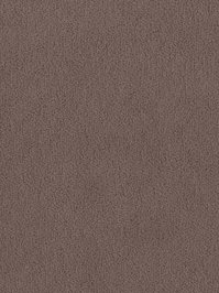 wDTW103634A400-F Das Teppichwerk Teppichboden Fascination...
