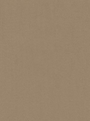 wDTW101566A400-F Das Teppichwerk Teppichboden Fascination...