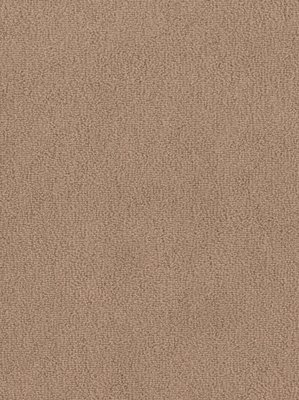 wDTW103635A400-F Das Teppichwerk Teppichboden Fascination...