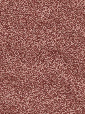 wDTW103765A400-F Das Teppichwerk Teppichboden Fascination...