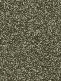 wDTW103769A400-F Das Teppichwerk Teppichboden Fascination...