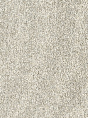 wDTW103772A400-F Das Teppichwerk Teppichboden Fascination...