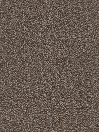 wDTW103775A400-F Das Teppichwerk Teppichboden Fascination...