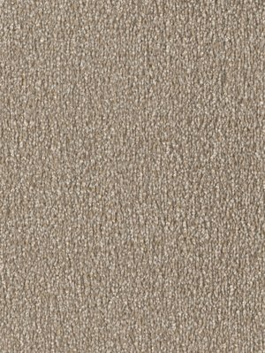 wDTW103776A400-F Das Teppichwerk Teppichboden Fascination...