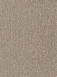 wDTW103776A400-F Das Teppichwerk Teppichboden Fascination...