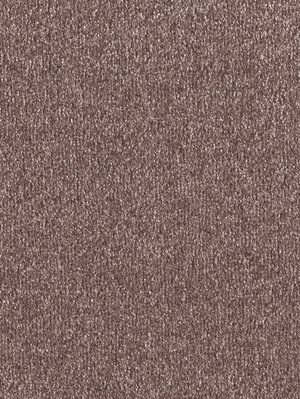 wDTW103784A400-F Das Teppichwerk Teppichboden Fascination...