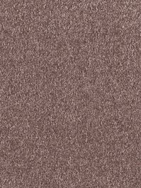 wDTW103784A400-F Das Teppichwerk Teppichboden Fascination...