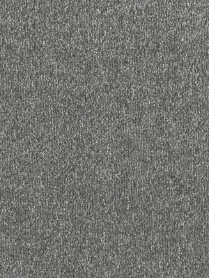 wDTW103791A400-F Das Teppichwerk Teppichboden Fascination...