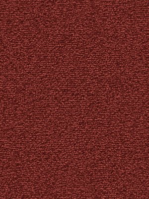 wDTW101362A400-F Das Teppichwerk Teppichboden Fascination...