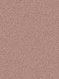 wDTW101367A400-F Das Teppichwerk Teppichboden Fascination...