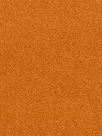 wDTW103615A400-F Das Teppichwerk Teppichboden Fascination...